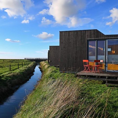 Tiny House Nature 9 Zur Kuhweide - Green Tiny Village Harlesiel Carolinensiel Bagian luar foto