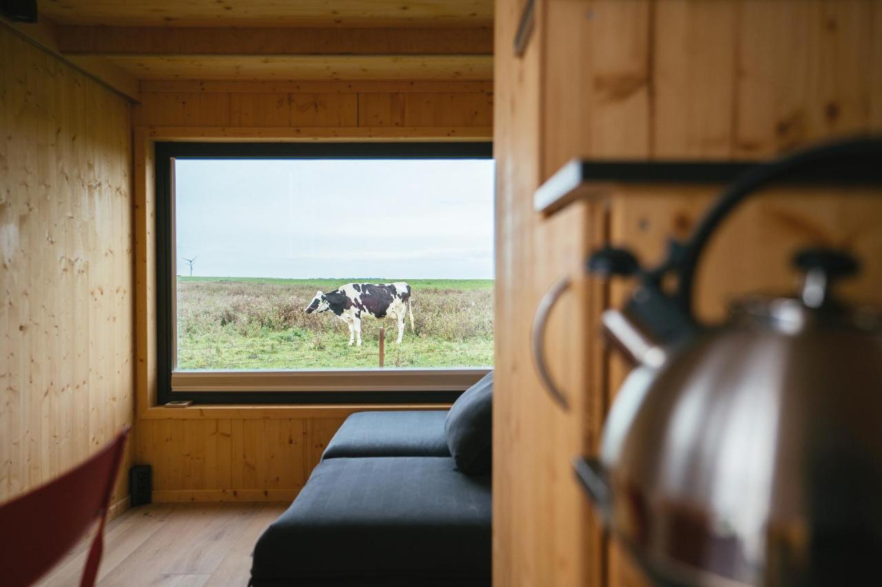 Tiny House Nature 9 Zur Kuhweide - Green Tiny Village Harlesiel Carolinensiel Bagian luar foto