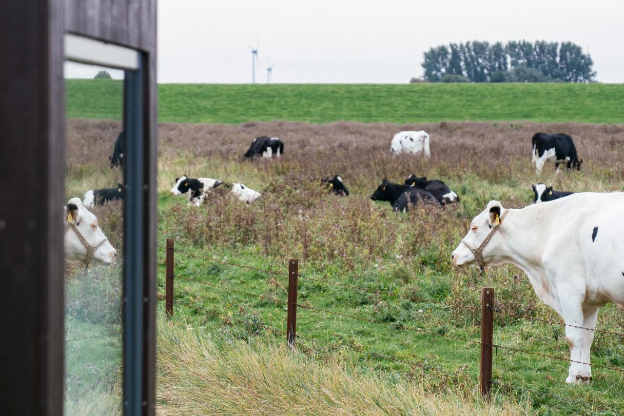Tiny House Nature 9 Zur Kuhweide - Green Tiny Village Harlesiel Carolinensiel Bagian luar foto